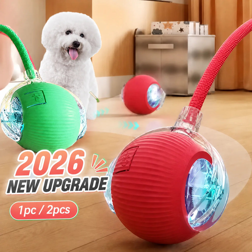 Smart Interactive Rolling Ball for Dogs | USB Rechargeable