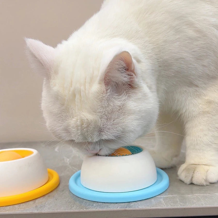 Interactive Dog Lick Toy & Slow Feeder