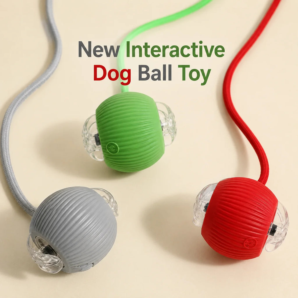 Smart Interactive Rolling Ball for Dogs | USB Rechargeable